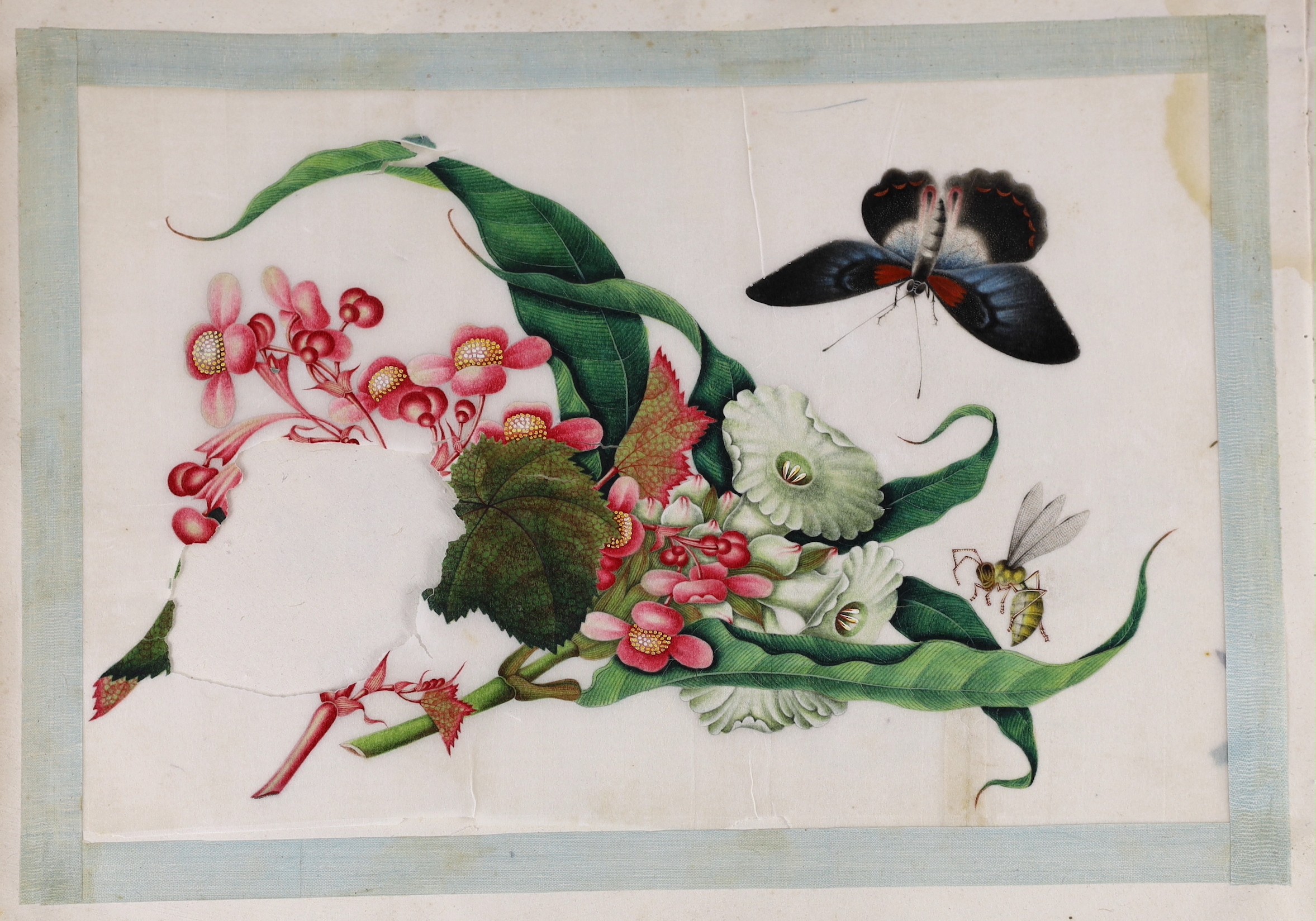 Two Chinese albums of pith paintings, 19th century, 25cm x 32cm